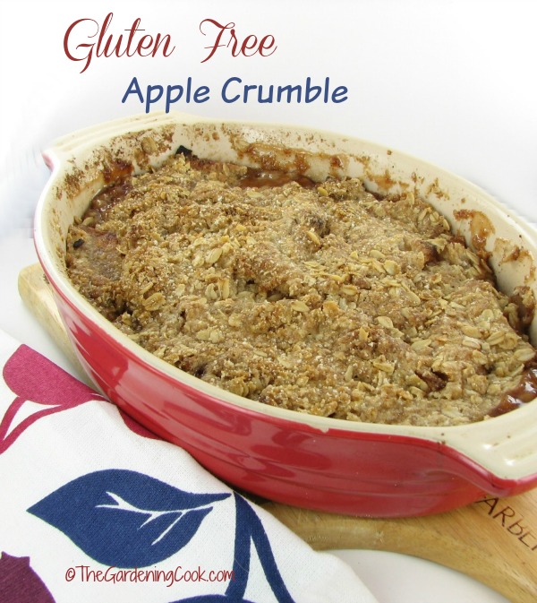 Crumble aux pommes sans gluten - Recette savoureuse de croustillant aux pommes GF
